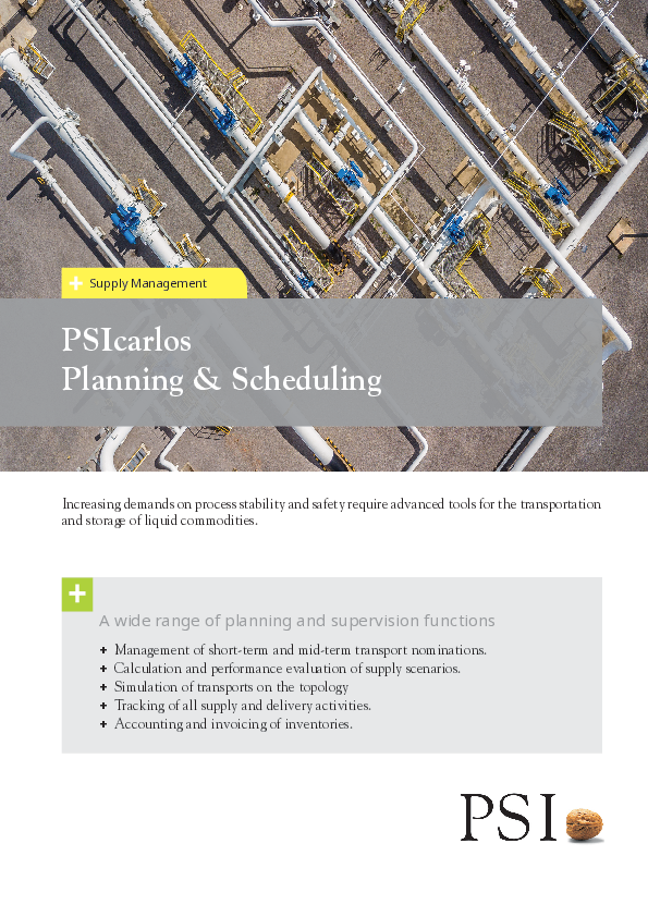 PSIcarlos_Flyer_E.pdf